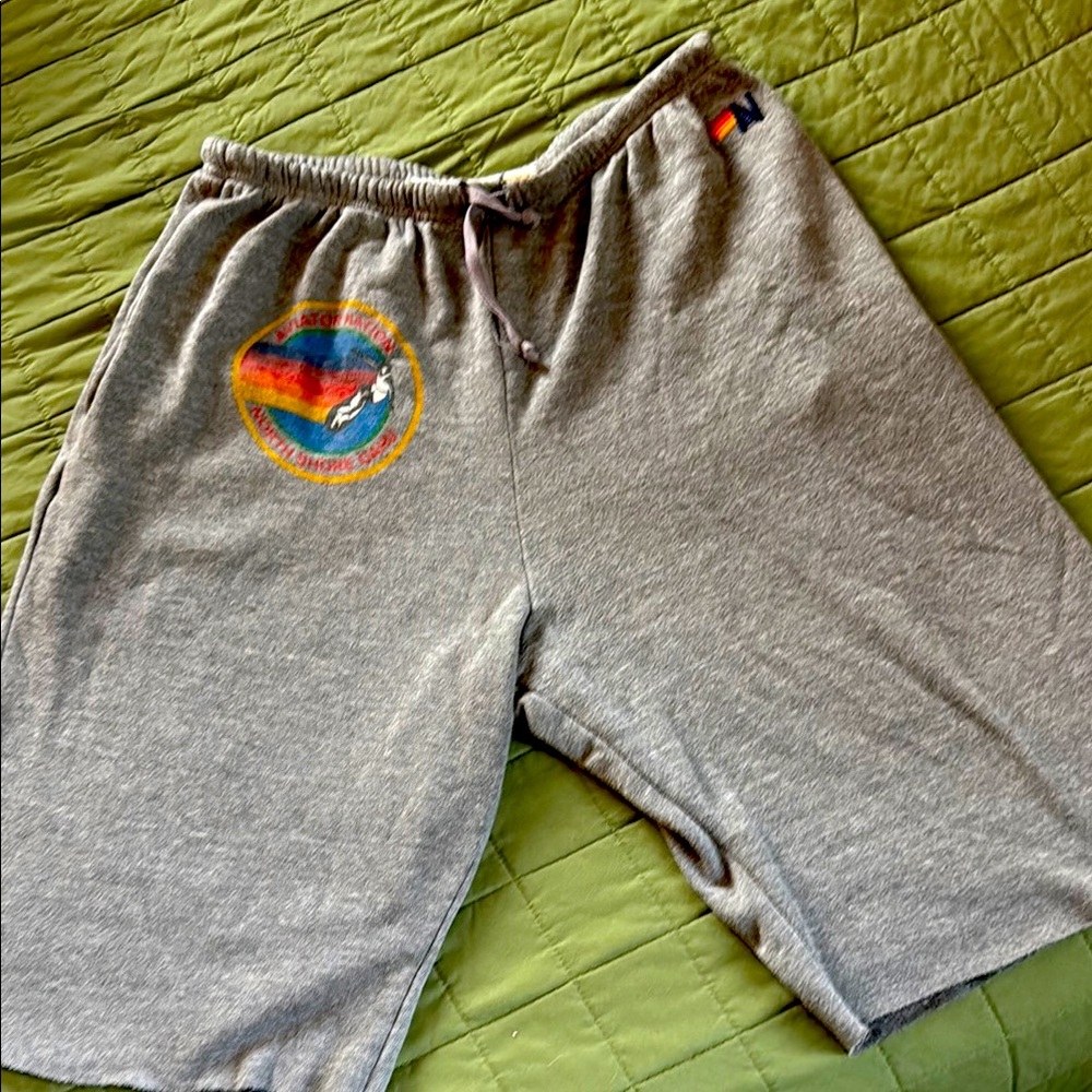 Aviator Nation Gray Sweat Shorts with Elastic Waistband